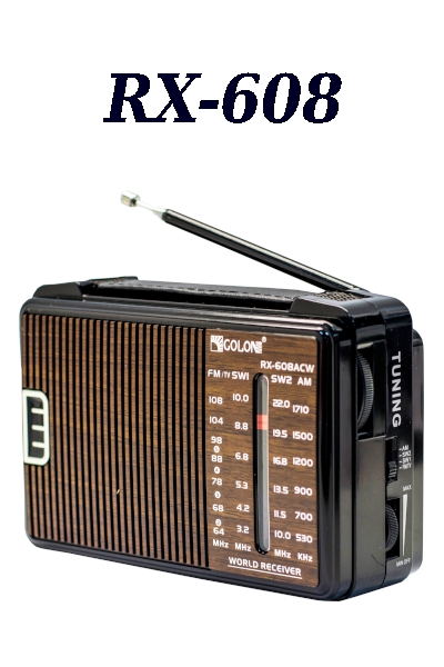 rx608.jpg